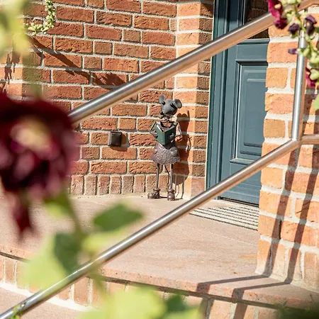 Hafen * Seedorf (Rugen)