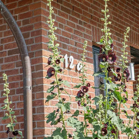 Hafen * Seedorf (Rugen)